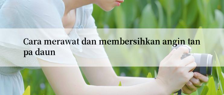 Cara merawat dan membersihkan angin tanpa daun