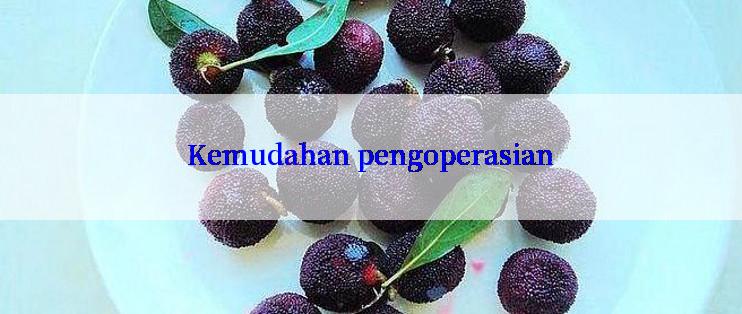 Kemudahan pengoperasian