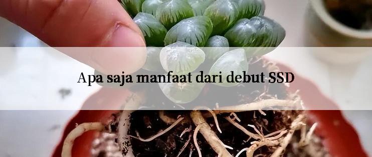 Apa saja manfaat dari debut SSD