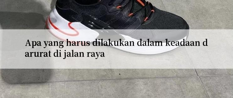 Apa yang harus dilakukan dalam keadaan darurat di jalan raya