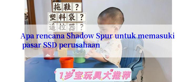 Apa rencana Shadow Spur untuk memasuki pasar SSD perusahaan