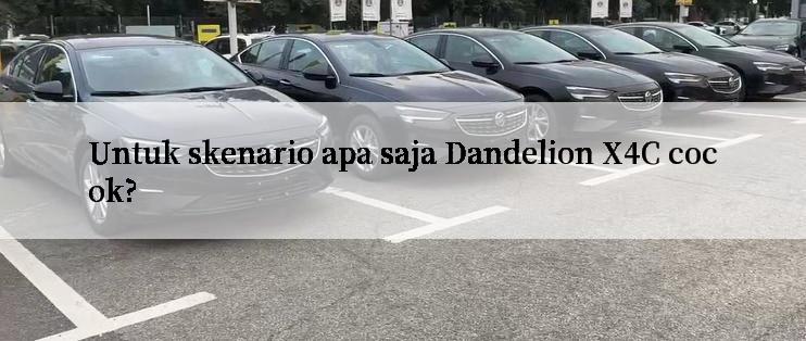 Untuk skenario apa saja Dandelion X4C cocok?