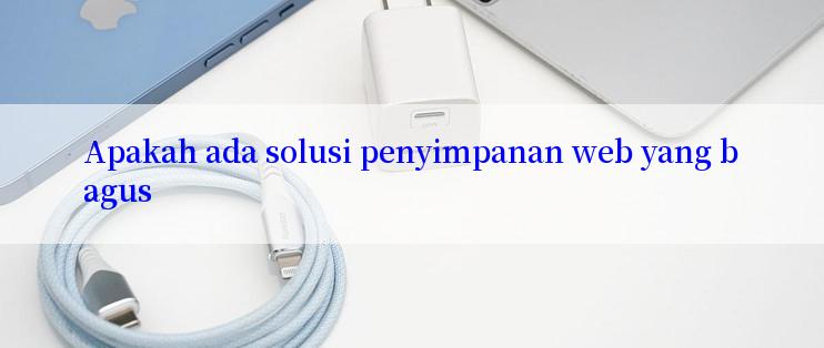 Apakah ada solusi penyimpanan web yang bagus