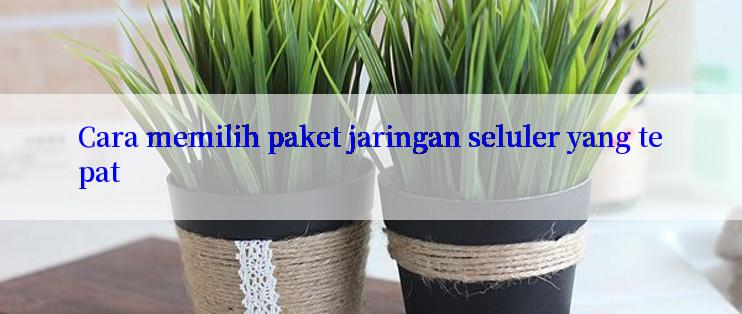 Cara memilih paket jaringan seluler yang tepat