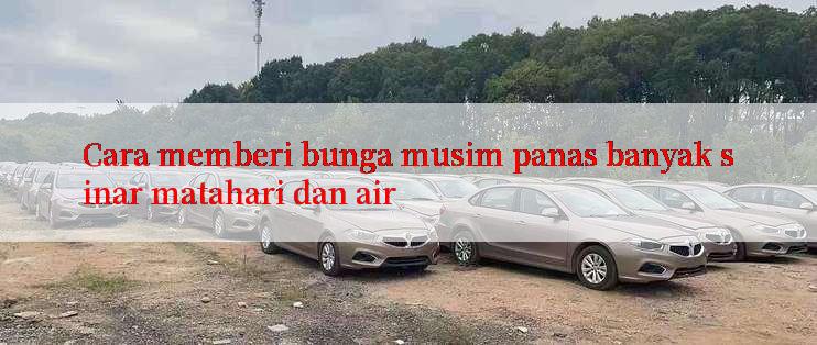 Cara memberi bunga musim panas banyak sinar matahari dan air