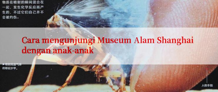 Cara mengunjungi Museum Alam Shanghai dengan anak-anak