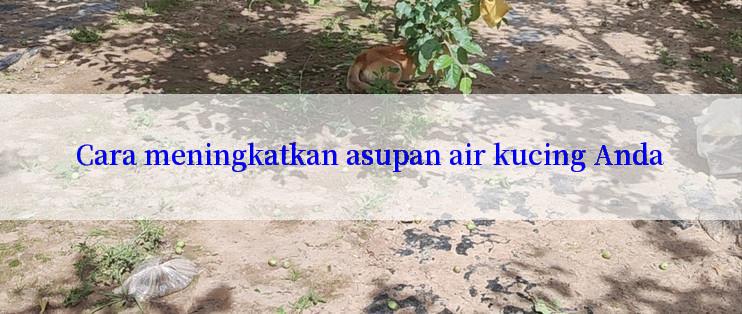 Cara meningkatkan asupan air kucing Anda