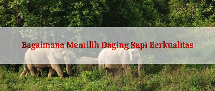 Bagaimana Memilih Daging Sapi Berkualitas