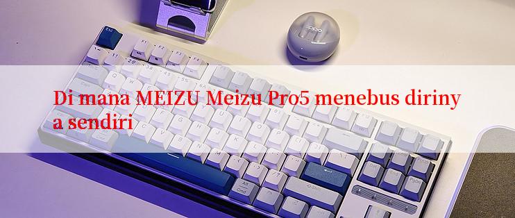 Di mana MEIZU Meizu Pro5 menebus dirinya sendiri