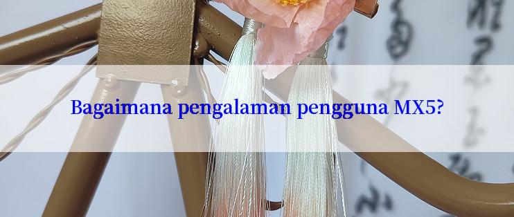 Bagaimana pengalaman pengguna MX5?