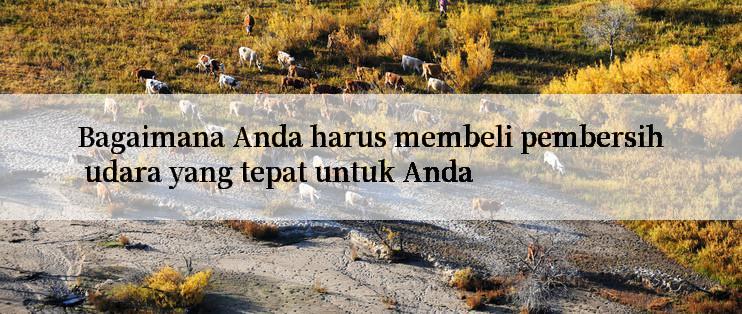 Bagaimana Anda harus membeli pembersih udara yang tepat untuk Anda